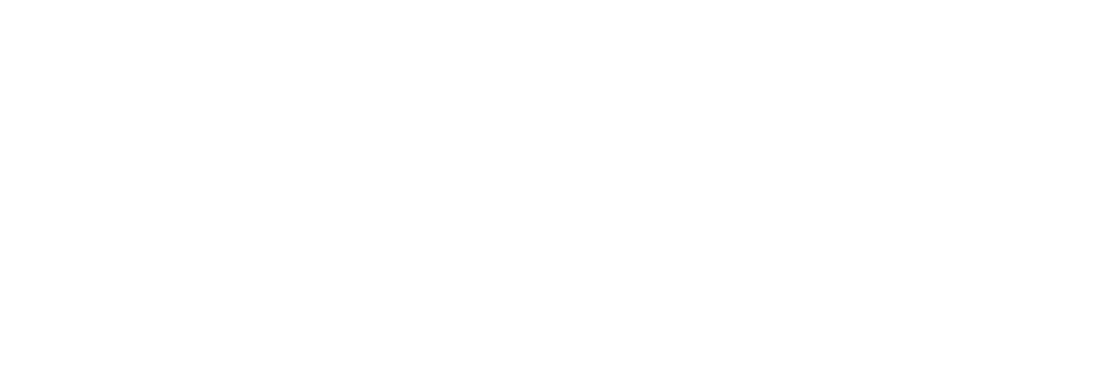 Abnehm Institut Logo